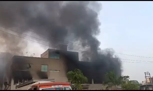नोएडा में कपड़े की फैक्ट्री में लगी आग, काबू पाने में जुटी फायर बिग्रेड की 30 गाड़ियां नोएडा में कपड़े की फैक्ट्री में लगी आग, काबू पाने में जुटी फायर बिग्रेड की 30 गाड़ियां