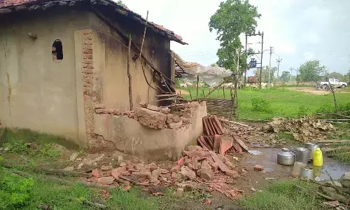 जंगली हाथियों के झुंड ने येरकड़ी में मचाया उत्पात