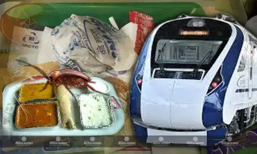 वंदे भारत एक्सप्रेस के खाने में मिला कॉकरोच, पेसेंजर ने शेयर की फोटोज, आईआरसीटीसी की सर्विस पर उठे सवाल
