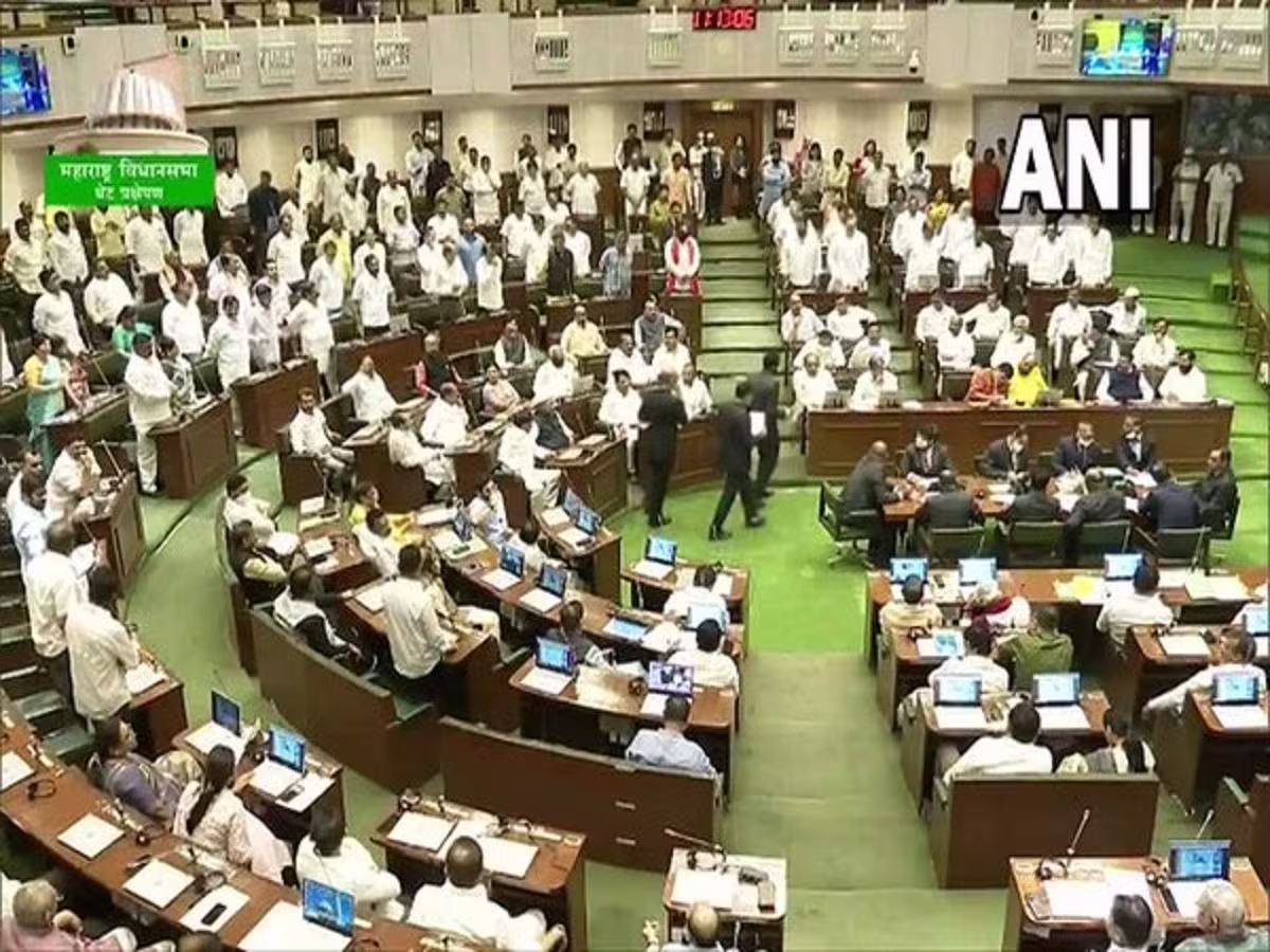 इलाज के अभाव में गर्भवती आदिवासी महिला की मौत का मामला विधानसभा में उठा