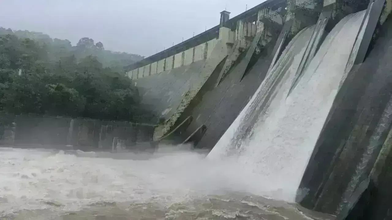 मुंबईकरों को राहत: जलाशय क्षेत्रों में हो रही झमाझम बारिश मुंबईकरों को राहत: जलाशय क्षेत्रों में हो रही झमाझम बारिश
