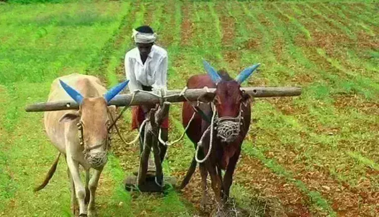 राज्य के 86 लाख किसानों को अगले महीने मिलेगी 2 हजार की पहली किस्त- शिंदे
