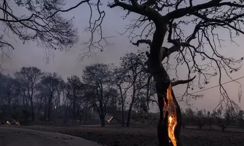 ग्रीस में जंगल की आग से 3 की मौत