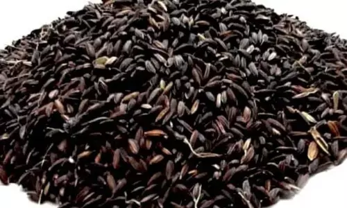 विदेशियों को भाया काला नमक चावल, तीन गुने से ज्यादा बढ़ा एक्सपोर्ट विदेशियों को भाया काला नमक चावल, तीन गुने से ज्यादा बढ़ा एक्सपोर्ट