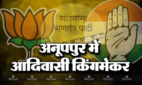 अनूपपुर जिले की तीनों सीटों पर आदिवासी मतदाताओं की मजबूत पकड़, तय करते है चुनावी मुकाबला अनूपपुर जिले की तीनों सीटों पर आदिवासी मतदाताओं की मजबूत पकड़, तय करते है चुनावी मुकाबला