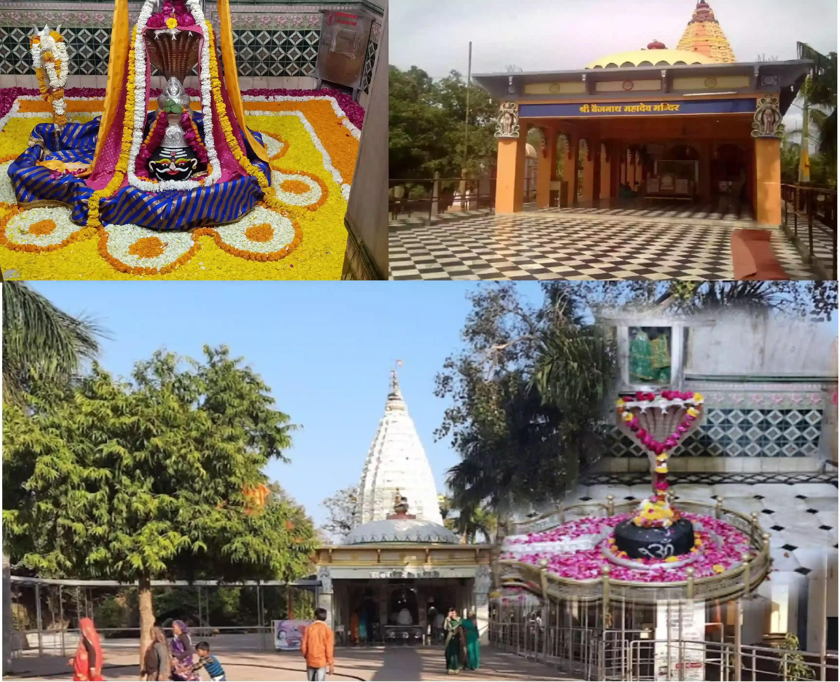 आगर मालवा: 85 वर्षों से बाबा बैजनाथ महादेव के दर्शन को पहुंच रहा 98 साल का वृद्ध