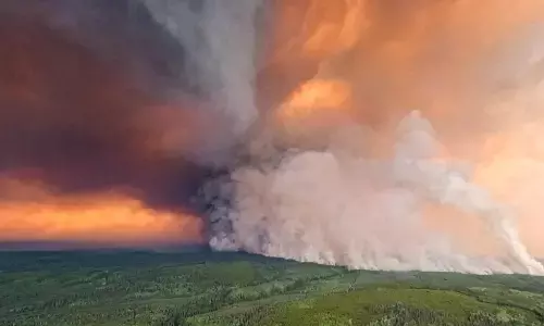 कनाडा के जंगलों में अभी भी एक हजार से अधिक स्थानों पर लगी है आग कनाडा के जंगलों में अभी भी एक हजार से अधिक स्थानों पर लगी है आग