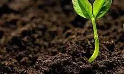 भंडारा शहर की मिट्टी जाएगी दिल्ली की अमृत वाटिका में