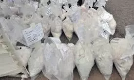 पुणे में राजस्थानी युवक से 60 लाख की अफीम जब्त पुणे में राजस्थानी युवक से 60 लाख की अफीम जब्त