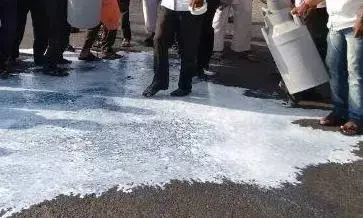 सड़कों पर बहाया दूध, भाव नहीं मिलने से किसान नाराज