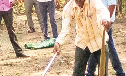 फ्लैट में पहुंचा सांप, अलमारी के नीचे घुसा