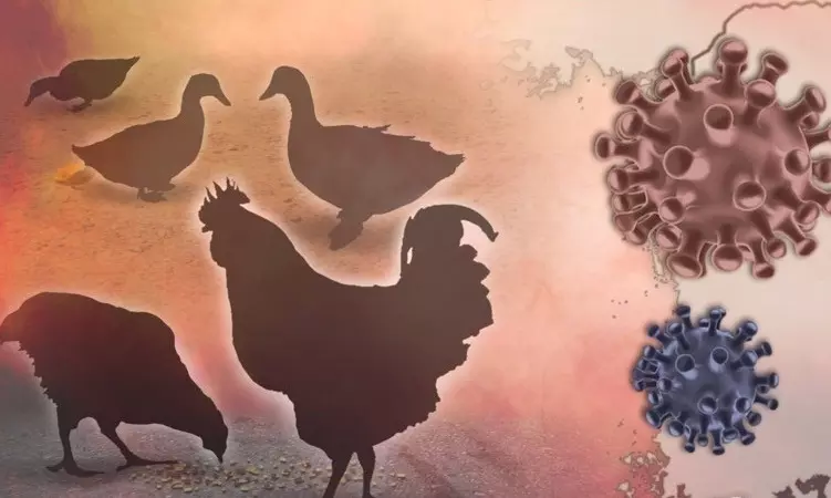 दक्षिण कोरिया में बिल्लियों में एवियन इन्फ्लूएंजा के संदिग्ध मामले की पुष्टि दक्षिण कोरिया में बिल्लियों में एवियन इन्फ्लूएंजा के संदिग्ध मामले की पुष्टि