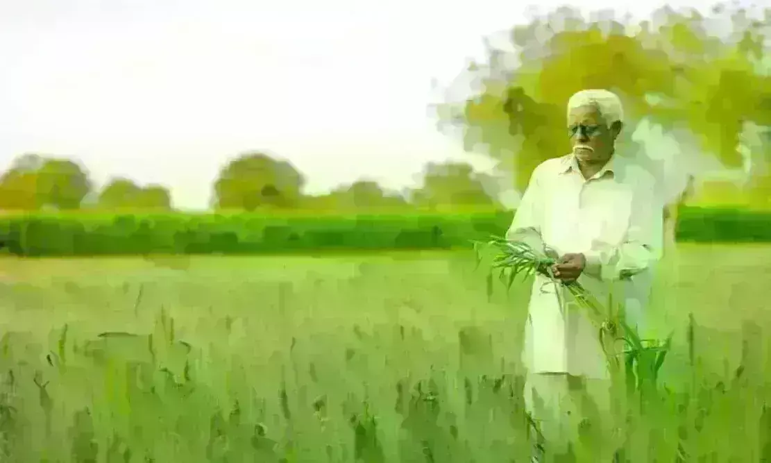 प्रधानमंत्री फसल बीमा योजना की अवधि 3 अगस्त तक बढ़ी