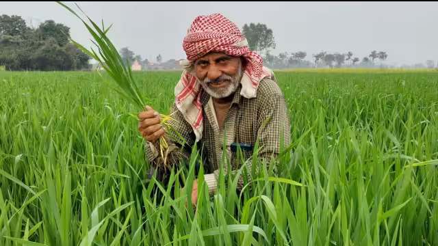 75 हजार से अधिक किसानों ने अपनी आय दोगुना से अधिक बढ़ाई