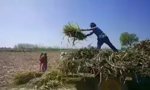 राज्य में कृषि सेवकों को अब मिलेगा 16 हजार रुपए मानधन