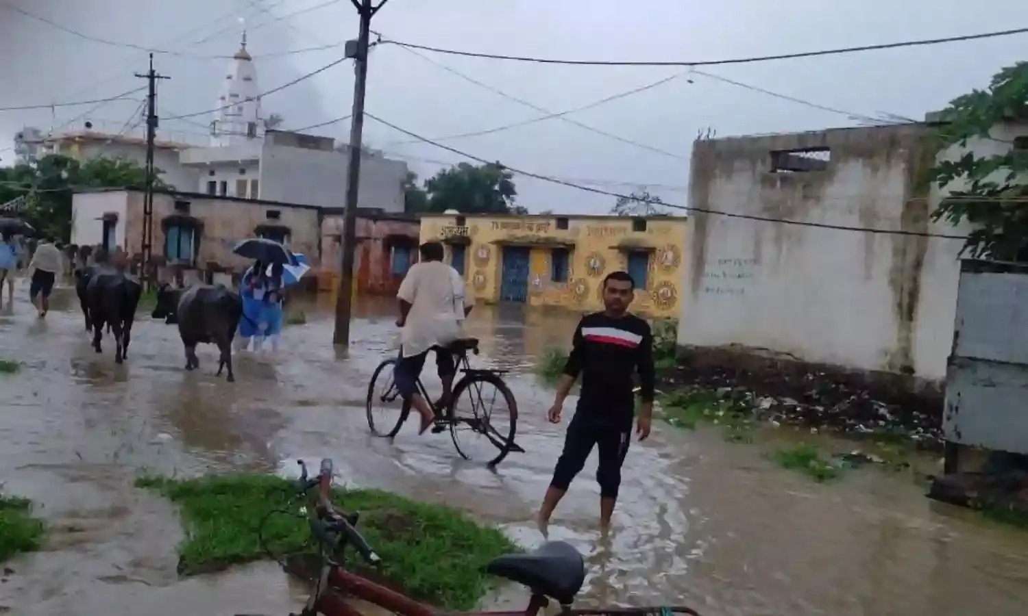 झमाझम बारिश से ग्राम द्वारी में लोगो के घरो में घुसा पानी