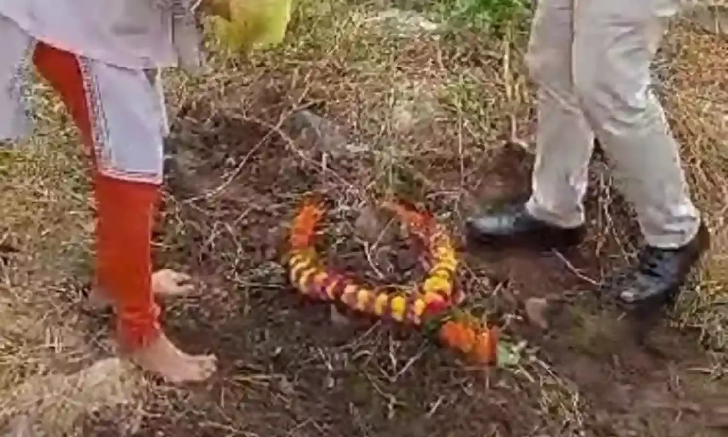 जीते जी मिलने नहीं आए, मरने के बाद भी नहीं ले गए मृत देह