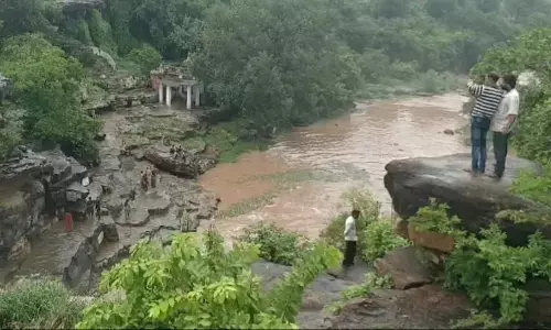 झमाझम बारिश से जीवंत हुए प्राकृतिक झरने, सेल्फी के चक्कर में जिंदगी से खिलवाड़