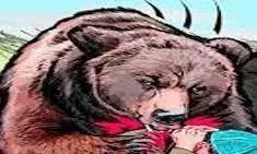 भालू के हमले में युवा किसान घायल