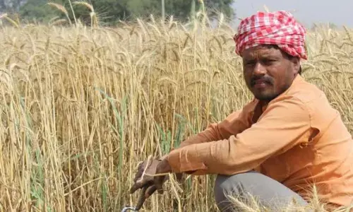 किसानों को कम से कम एक हजार रुपए मिलेगी फसल बीमा की राशि किसानों को कम से कम एक हजार रुपए मिलेगी फसल बीमा की राशि