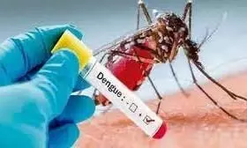 मनपा क्षेत्र में डेंगू के मरीजों का आंकड़ा 26 पर पहुंचा मनपा क्षेत्र में डेंगू के मरीजों का आंकड़ा 26 पर पहुंचा