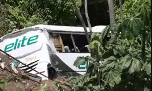 मेक्सिको में खाई में गिरी बस, 17 की मौत; छह भारतीय भी थे सवार