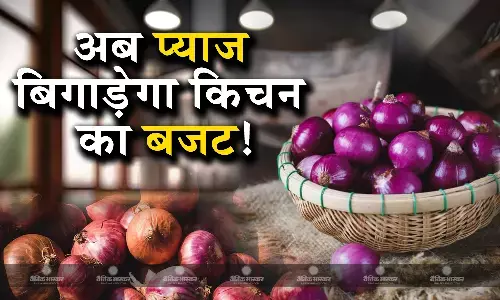 टमाटर के बाद अब बढ़ेंगे प्याज के दाम, रिपोर्ट में हुआ खुलासा, जानिए कीमत बढ़ने की मुख्य वजह? टमाटर के बाद अब बढ़ेंगे प्याज के दाम, रिपोर्ट में हुआ खुलासा, जानिए कीमत बढ़ने की मुख्य वजह?