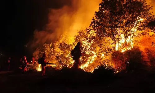 गर्मी, जंगल की आग व बाढ़ ने इस साल की गर्मी को बना दिया अत्‍यधिक कष्‍टदायक : डब्ल्यूएमओ