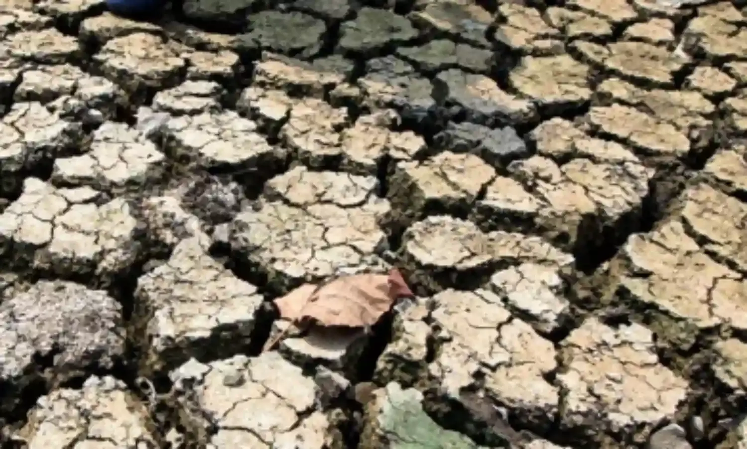 श्रीलंका में 90,000 लोग से ज्यादा सूखे से प्रभावित