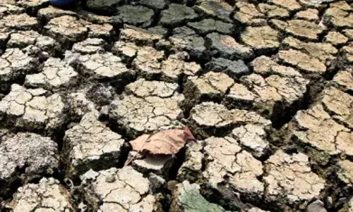 श्रीलंका में 90,000 लोग से ज्यादा सूखे से प्रभावित