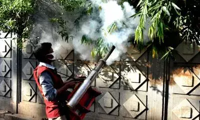 बांग्लादेश : इस साल डेंगू से मरने वालों की संख्या 300 के पार