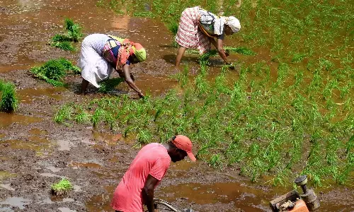 किसान विरोधी मुद्दों को लेकर आंदोलन करेगी केरल कैथोलिक बिशप कॉन्फ्रेंस