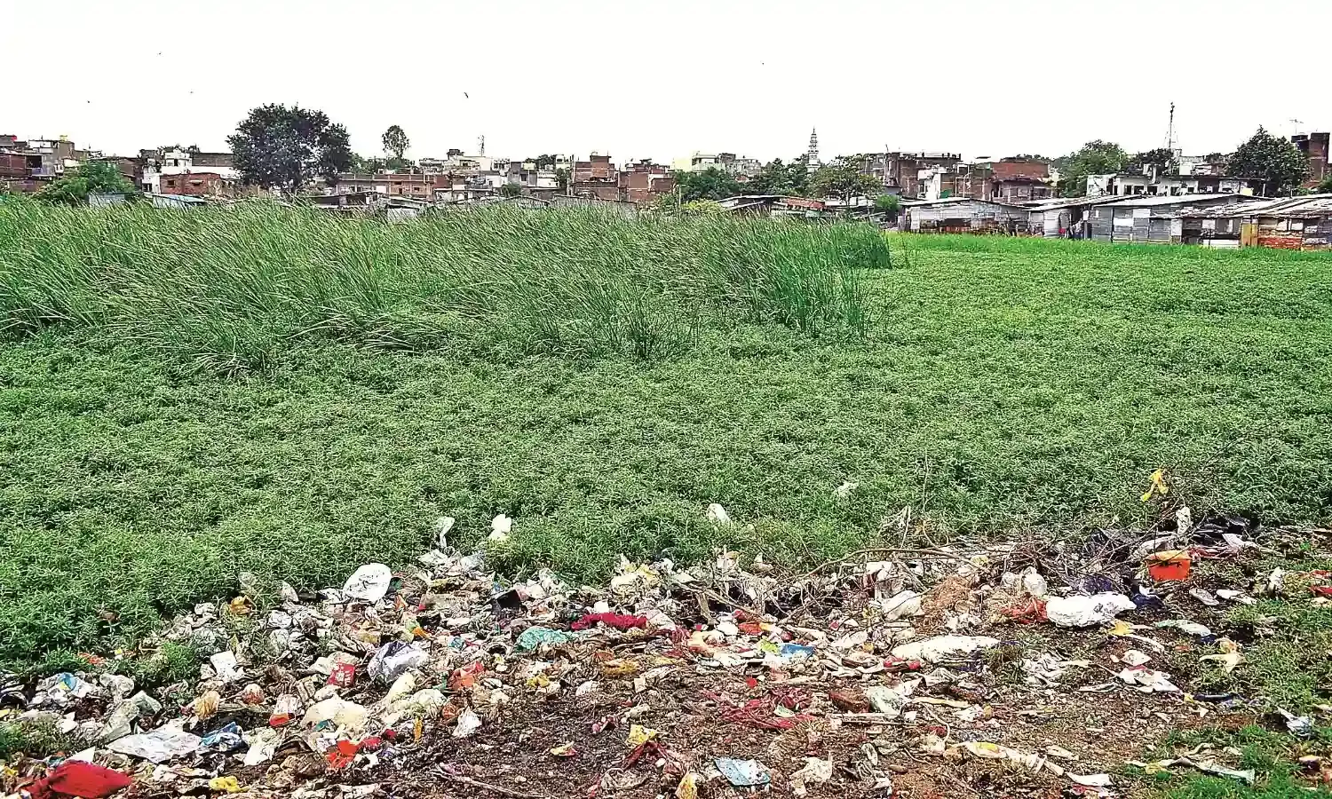 एमपीसीबी की रिपोर्ट में खुलासा : सीओडी-बीओडी की मात्रा खतरनाक, तालाब बचाने आगे आना होगा
