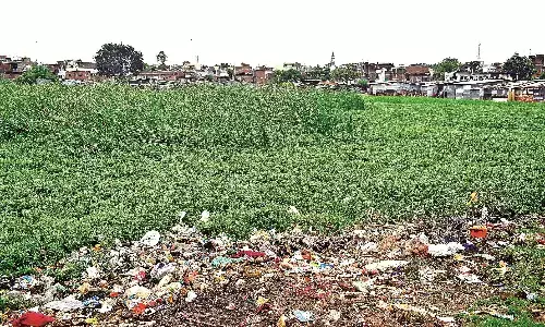 एमपीसीबी की रिपोर्ट में खुलासा : सीओडी-बीओडी की मात्रा खतरनाक, तालाब बचाने आगे आना होगा