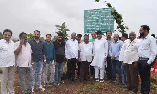 पर्यावरण संरक्षण को लेकर अनूठा संदेश, एक ही दिन में लगाए 300 पौधे पर्यावरण संरक्षण को लेकर अनूठा संदेश, एक ही दिन में लगाए 300 पौधे