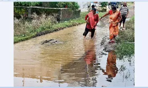 बारिश में बने बदतर हालात, पानी निकासी के लिए नाली तक नहीं, जिम्मेदार अधिकारी मौन बारिश में बने बदतर हालात, पानी निकासी के लिए नाली तक नहीं, जिम्मेदार अधिकारी मौन