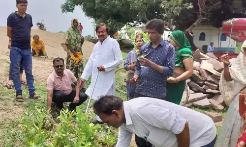 आजादी का अमृत महोत्सव पर किया गया पौधरोपण आजादी का अमृत महोत्सव पर किया गया पौधरोपण