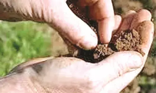 मेरी माटी मेरा देश अभियान : गोंदिया के 547 गांवों की मिट्टी पहुंचेगी दिल्ली