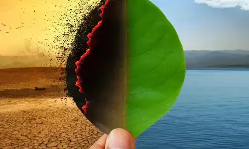 राज्य जलवायु एक्शन सेल की स्थापना को मंजूरी