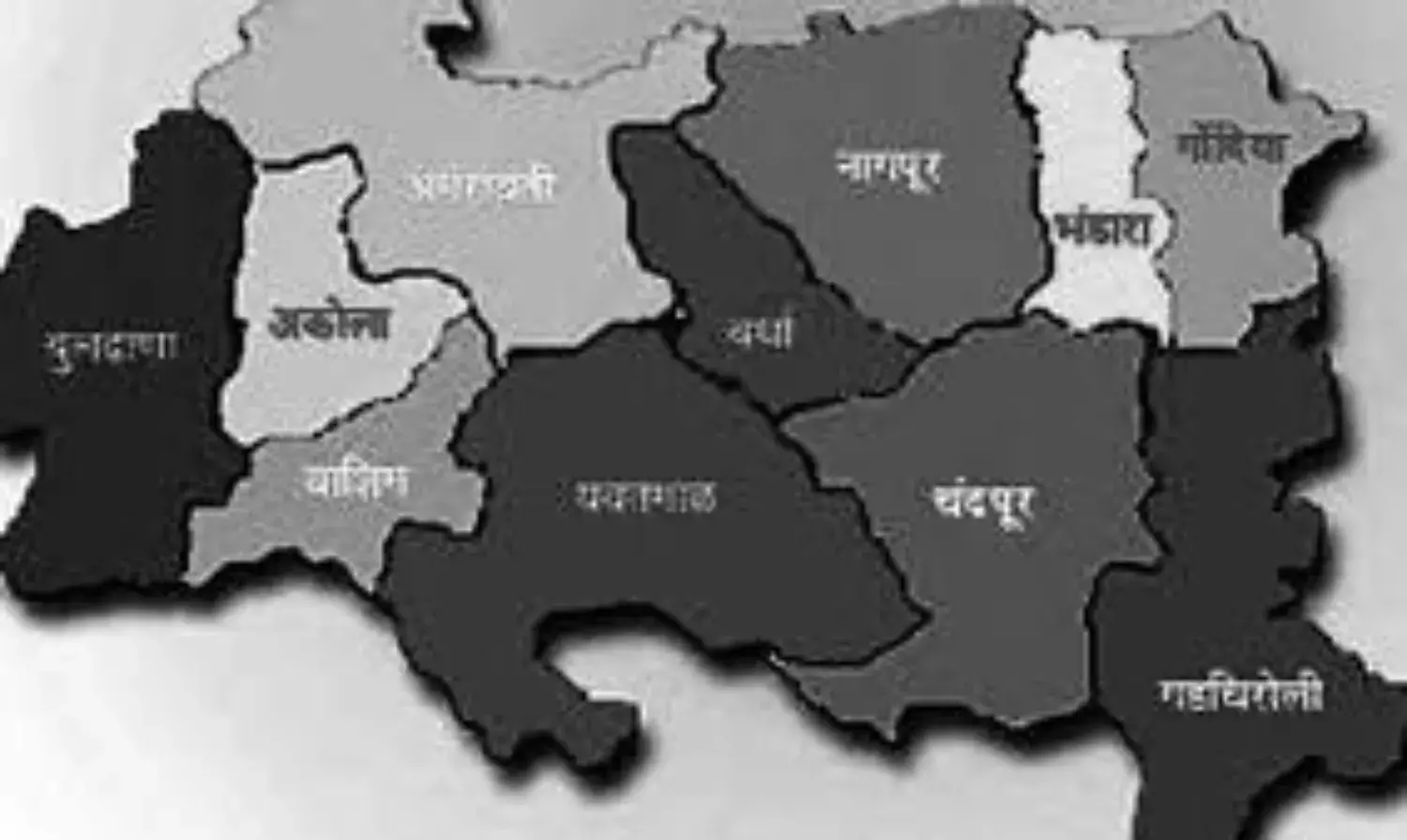 विदर्भ की सभी 10 लोकसभा सीटों पर कांग्रेस करेगी दावा