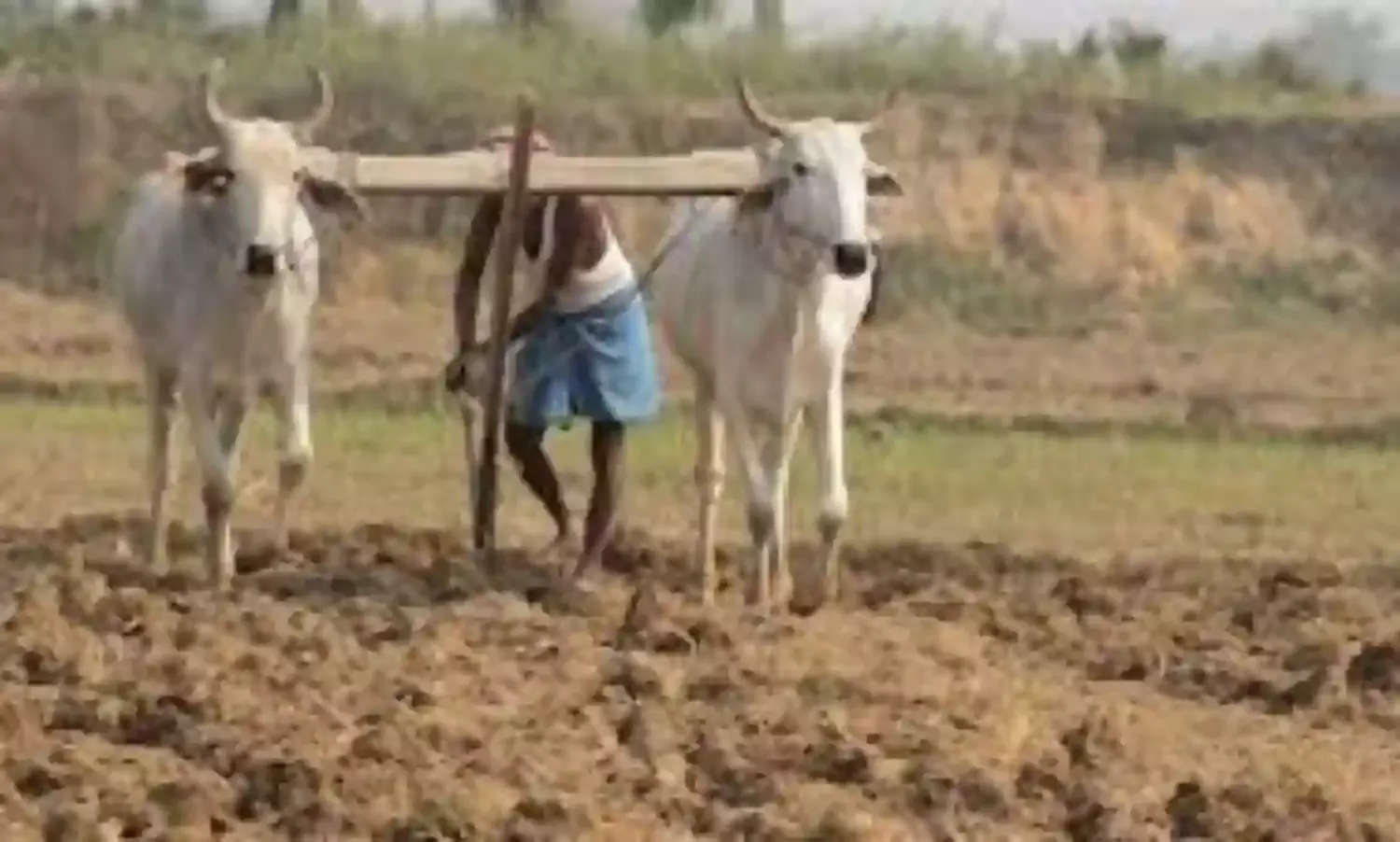 23 हजार 937 किसानों ने पूरी नहीं की ई-केवाइसी की प्रक्रिया