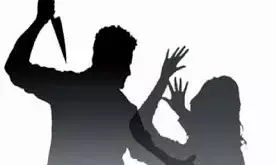 घरेलू विवाद : कुल्हाड़ी से पत्नी की हत्या, आरोपी पति गिरफ्तार घरेलू विवाद : कुल्हाड़ी से पत्नी की हत्या, आरोपी पति गिरफ्तार