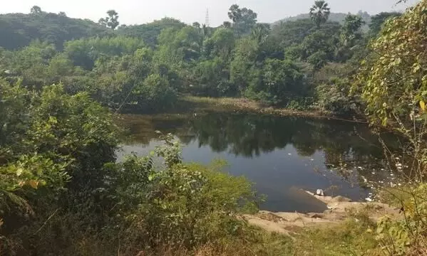 आरे झील में गणेश विसर्जन पर रोक, डेयरी प्रशासन के निर्देश पर मनपा ने लिया फैसला आरे झील में गणेश विसर्जन पर रोक, डेयरी प्रशासन के निर्देश पर मनपा ने लिया फैसला