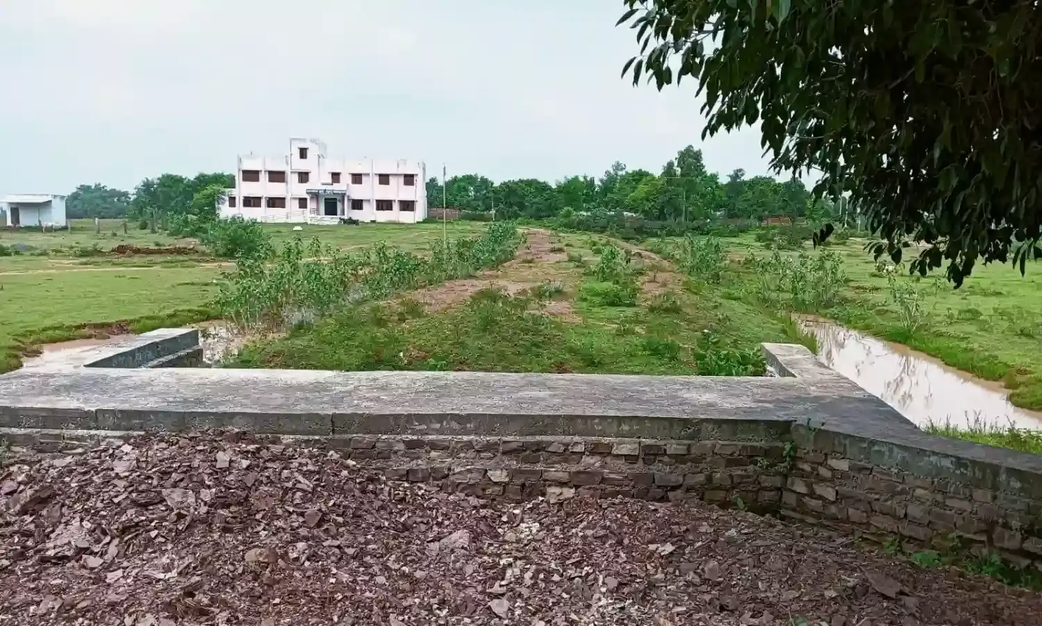 विद्यालय तक नहीं है पहुंच मार्ग, कीचडयुक्त मार्ग से निकलने को मजबूर छात्र-छात्रायें