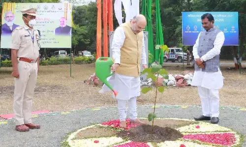 अमित शाह ने वृक्षारोपण अभियान के तहत लगाया 4 करोड़वां वृक्ष