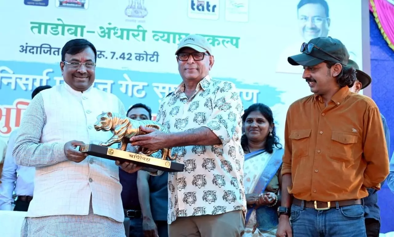 नागझिरा के बाद अब 8 बाघों को छोड़ा जाएगा सह्याद्री के जंगल में! नागझिरा के बाद अब 8 बाघों को छोड़ा जाएगा सह्याद्री के जंगल में!