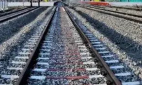 मुंबई के सायन स्टेशन पर एक दंपति ने युवक को दिया धक्‍का, ट्रेन से कुचलकर मौत