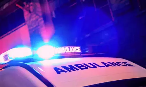 पेरिस के उपनगर में आग लगने से तीन की मौत