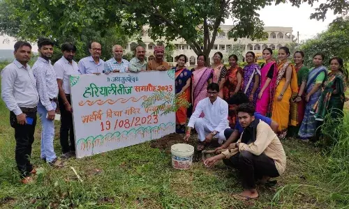 हरियाली तीज पर किया गया वृक्षारोपण