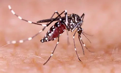 90 से ज्यादा स्थानों पर लार्वा मिलने पर नोटिस और जुर्माना 90 से ज्यादा स्थानों पर लार्वा मिलने पर नोटिस और जुर्माना